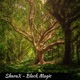 Black Magic Single
