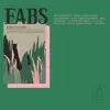 EABS - Pingwin VI