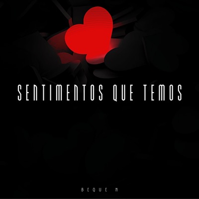 Sentimentos Que Temos