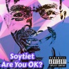 Are You Ok? (feat. Thirstpro) - Single