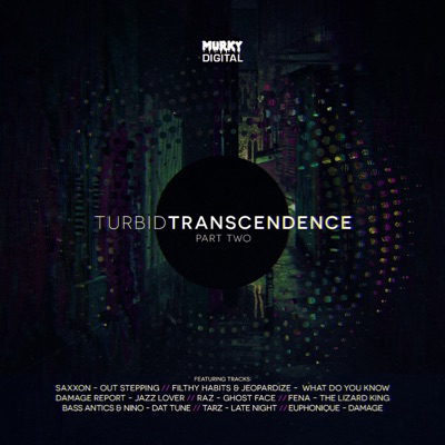 Turbid Transcendence (Part Two)