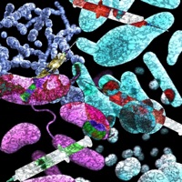 Phant0m Pain - Single - Kanpeki