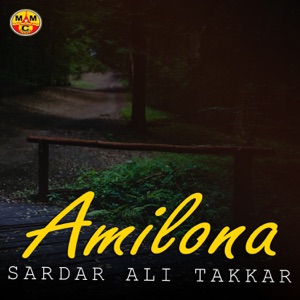 Amilona