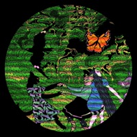 Night of Search - Single - Bruno Brugnoli