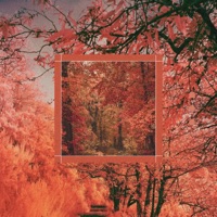 Kaede - Single - Eyesoh & Capital Jay