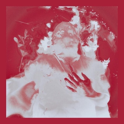 All I Wanted - Single