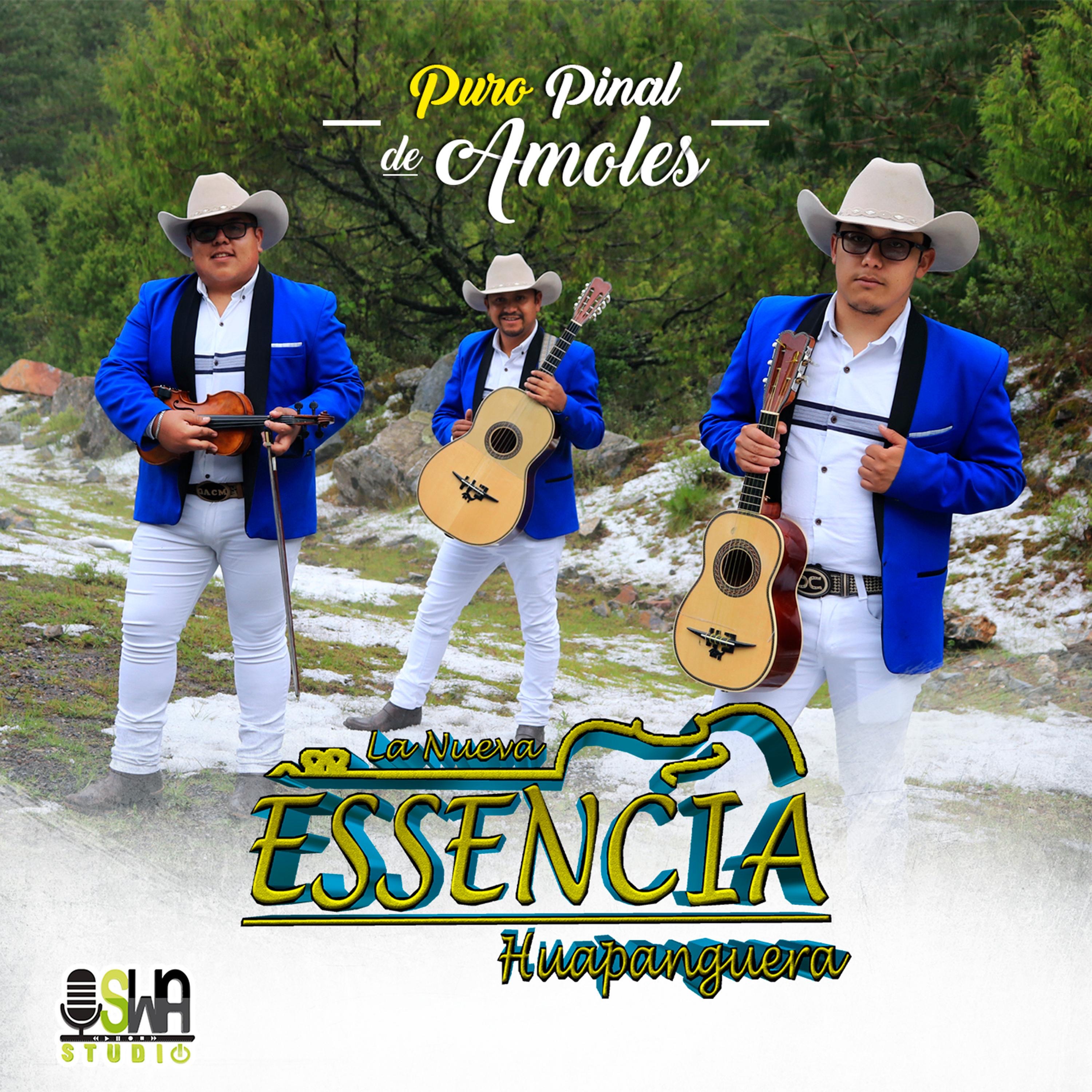 Puro Pinal de Amoles - Single
