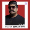 Best of Behnam Bani, Vol. 1, 2021