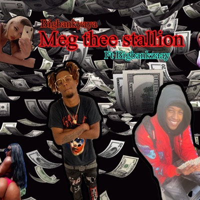Meg Thee Stallion (feat. Bigbankzaay) - Single