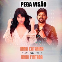 Pega Visão (feat. Unha Pintada) - Single - Anna Catarina