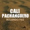 Cali Pachanguero artwork