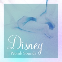 Womb Sounds and Good Night's Sleeping Baby Piano Duo”AcousticPiano & ElectricPiano” vol.2, Disney Music