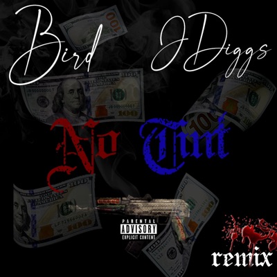 No Tint (feat. J-Diggs) [Remix] [Remix] - Single