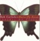 Butterfly Kisses (The Country Remix) - Bob Carlisle lyrics