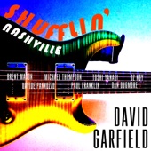 Shufflin' Nashville (feat. Brent Mason, Paul Franklin, Michael Thompson, Oz Noy, Toshi Yanagi, Dan Dugmore & Davide Pannozzo) artwork