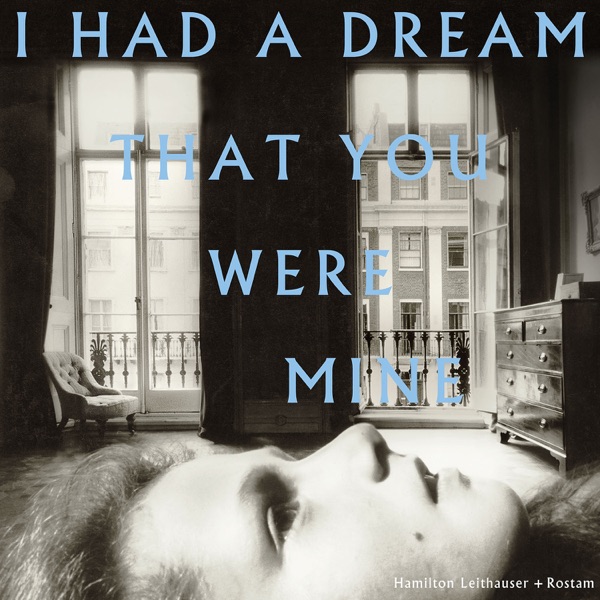 I Had a Dream That You Were Mine - Hamilton Leithauser & Rostam