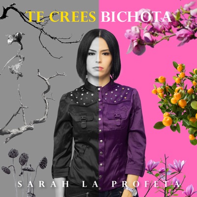 Te Crees Bichota - Single