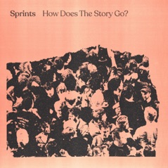 How Does the Story Go? - Single