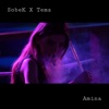 Amina (feat. Temz) - Single