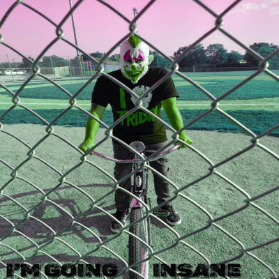 I'm Going Insane - Single