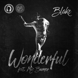 Wonderful (feat. Mic Burner) Blake Yall