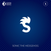 Sonic the Hedgehog, Vol. 1 - Goodknight Productions