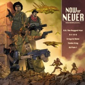 Now or Never (feat. Timbo King) artwork