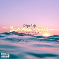 Summer Steez (feat. D.Maleek) - Single - Steezybarz