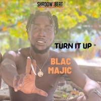 Turn It Up (feat. Blaq Majic) - Single - Shadow on the Beat