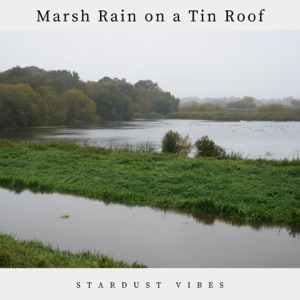 Marsh Rain on a Tin Roof