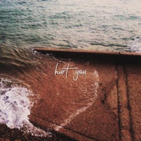 Hurt You - Single - Aidan & Thomas Reid