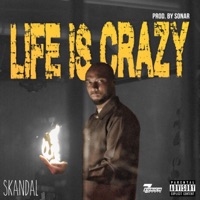 Life Is Crazy - Single - Skandal
