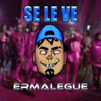 Se Le Ve (feat. DJ Luc14no Antileo) - Single - DJ Ermalegue