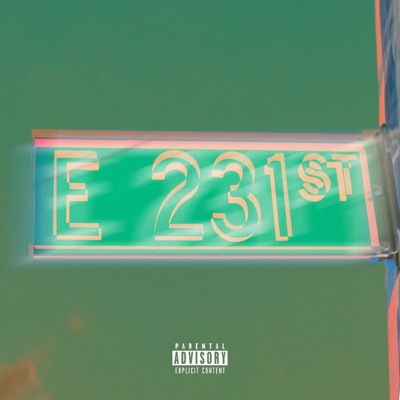 E 231 St - Single