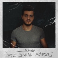 İşe Yarar Birşey - Single - Skavlyn