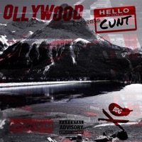 Baby I Don't Hate You (feat. Choqolate) - Single - Ollywood