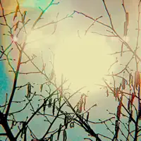 Golden Sun
