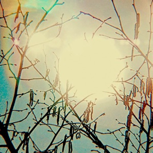 Golden Sun - Single