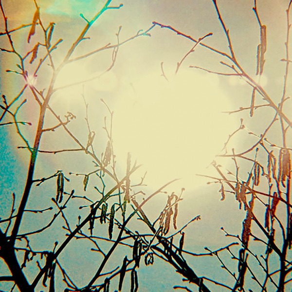 Golden Sun - Single