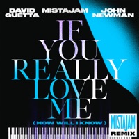 If You Really Love Me (How Will I Know) [MistaJam Remix] - Single - David Guetta, MistaJam & John Newman
