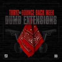 DUMB EXTENSIONS (feat. Bounce Back Meek) - Single - Thryz