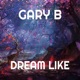 Dream Like Single