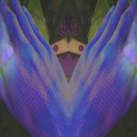 The Parkade Ledges Wind (feat. Ja Mess) [Remended] [Remended] - Single - Isaiah Storm