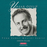 O Ağacın Altını