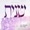 Shimmy Engel - Sheinis (JewishMusic Stream)