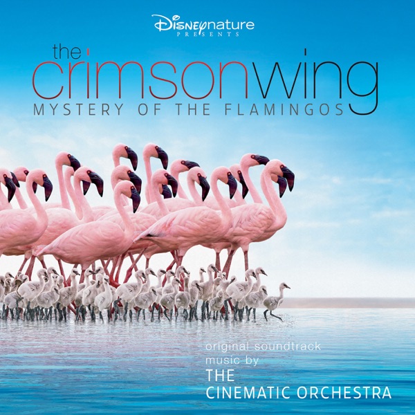 The Crimson Wing: Mystery of the Flamingos (Original Soundtrack) - The Cinematic Orchestra & London Metropolitan Orchestra