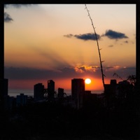 Daydreaming - Single - Groovetide