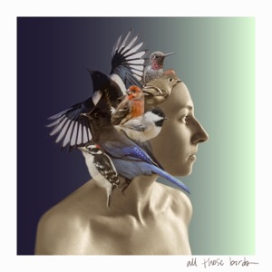 All Those Birds - Single
