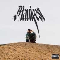 Manifest - Single - Zaay