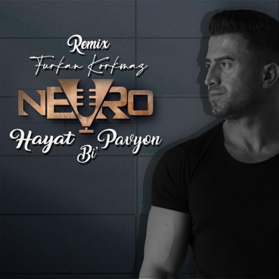 Hayat Bi Pavyon (Furkan Korkmaz Remix) [Furkan Korkmaz Remix] - Single